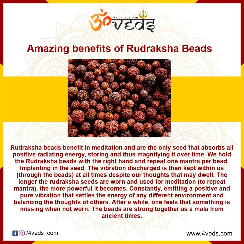Rudraksha