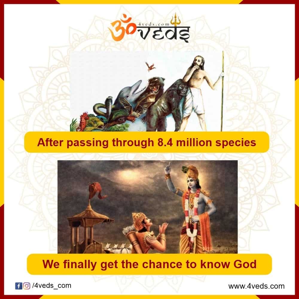 After Billions Of Years We Finally Get The Chance To Know God.