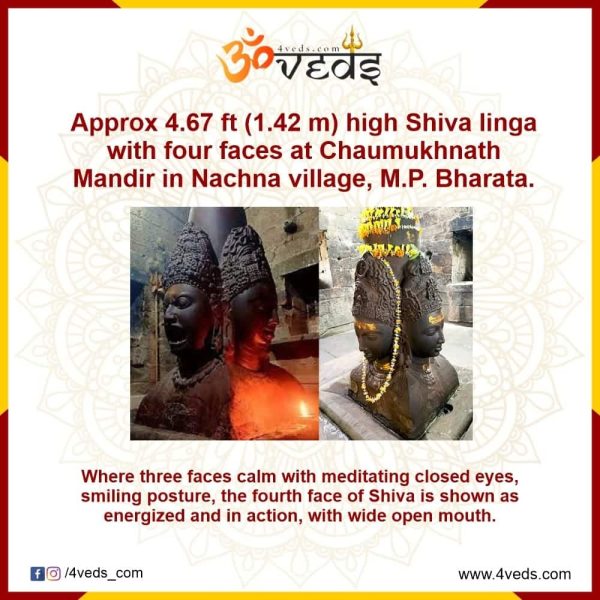 The Shiva Linga of Chaumukhnath Mandir