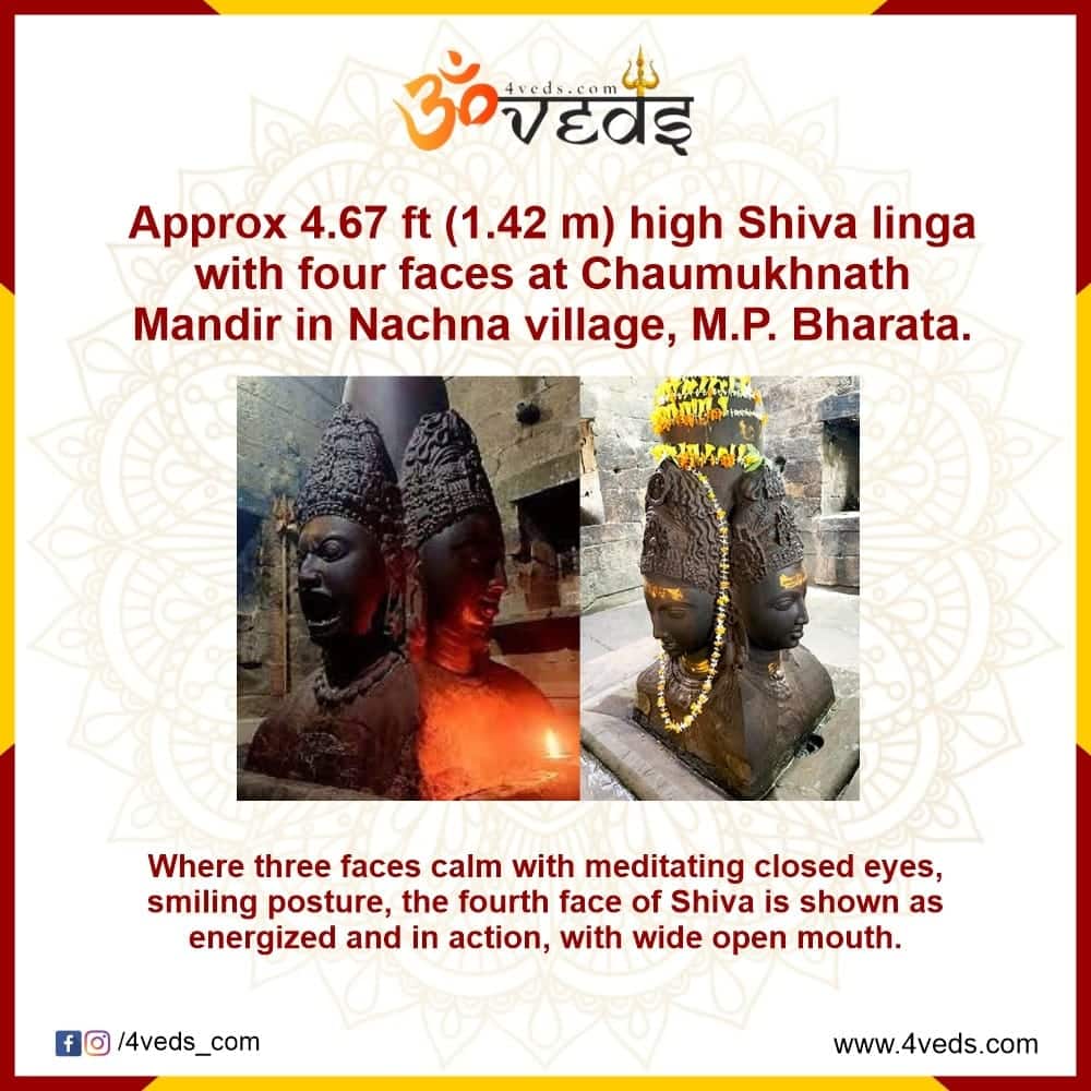 The Shiva Linga of Chaumukhnath Mandir