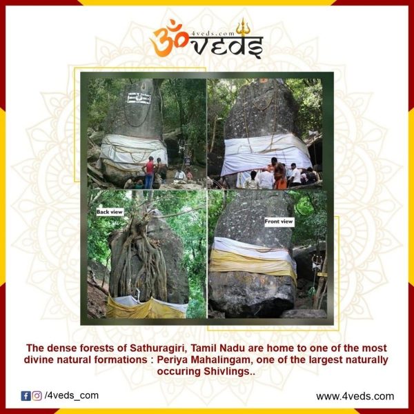Most Divine Natural Formation In Forest of Sathuragiri 1