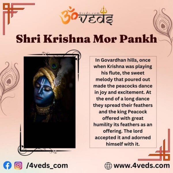 Lord Krishna Krishna And His Adorable Mor Pankh 1 600x600 1